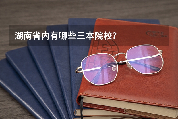 湖南省内有哪些三本院校？