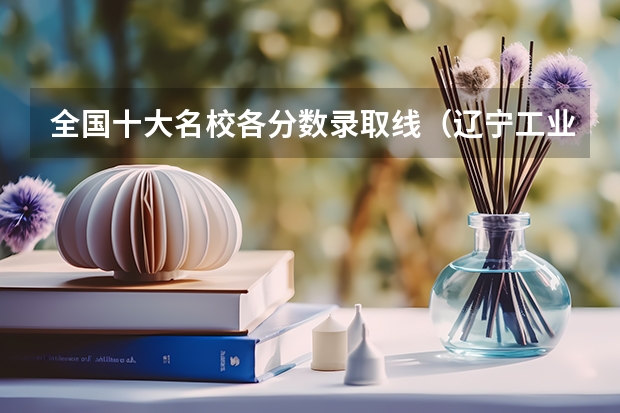 全国十大名校各分数录取线（辽宁工业大学录取分数线）