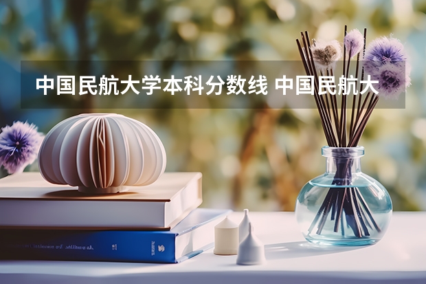 中国民航大学本科分数线 中国民航大学录取分数线