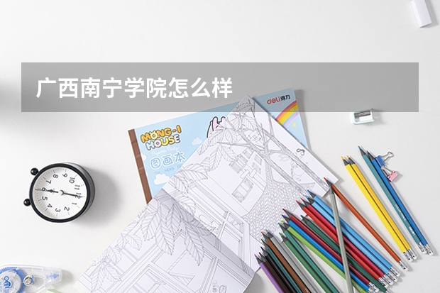 广西南宁学院怎么样