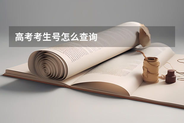 高考考生号怎么查询