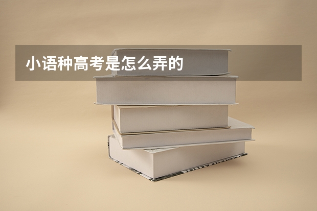 小语种高考是怎么弄的