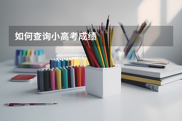 如何查询小高考成绩