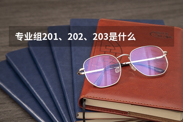 专业组201、202、203是什么意思？