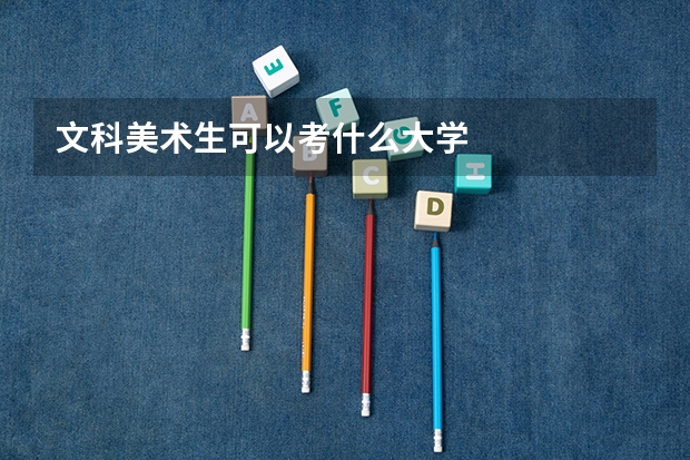 文科美术生可以考什么大学