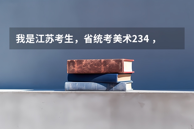 我是江苏考生，省统考美术234 ，文化估计280左右，能念什么学校（南京的）