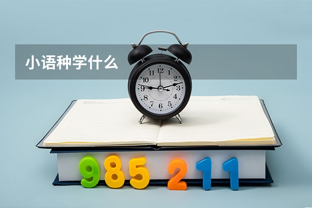 小语种学什么