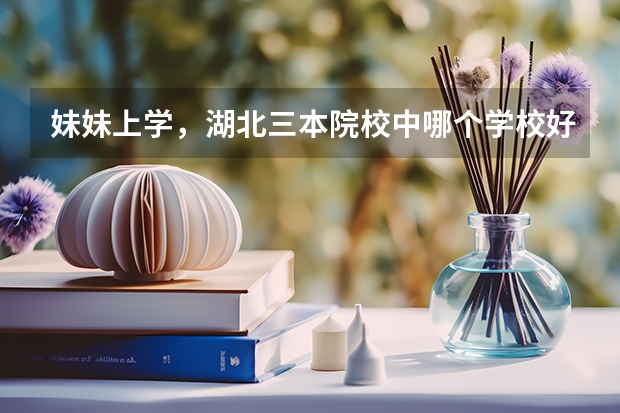 妹妹上学，湖北三本院校中哪个学校好