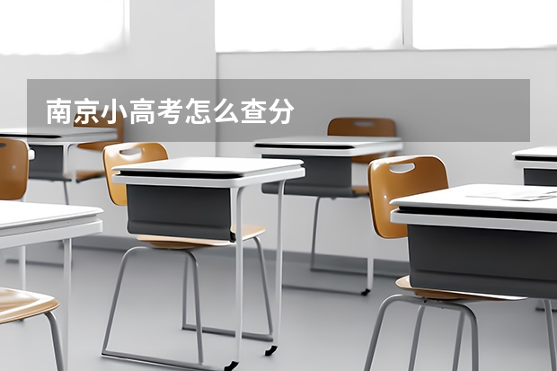 南京小高考怎么查分