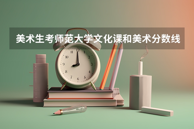 美术生考师范大学文化课和美术分数线占比是多少
