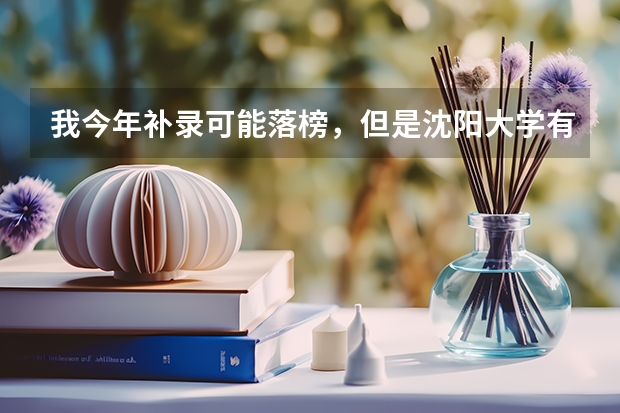 我今年补录可能落榜，但是沈阳大学有一个继续教育学院，请问我去那个有希望吗，可靠吗？