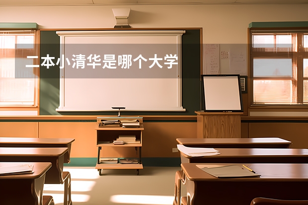 二本小清华是哪个大学