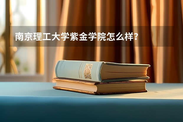南京理工大学紫金学院怎么样?