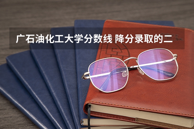 广石油化工大学分数线 降分录取的二本院校