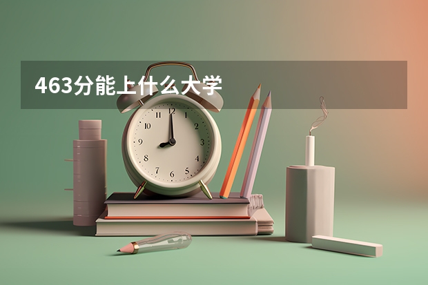 463分能上什么大学
