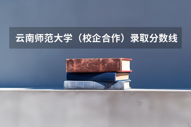 云南师范大学（校企合作）录取分数线是多少？