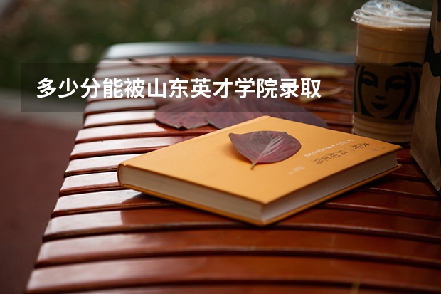 多少分能被山东英才学院录取