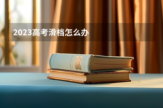 2023高考滑档怎么办