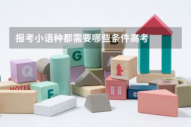 报考小语种都需要哪些条件高考