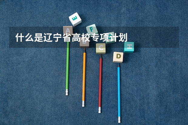 什么是辽宁省高校专项计划