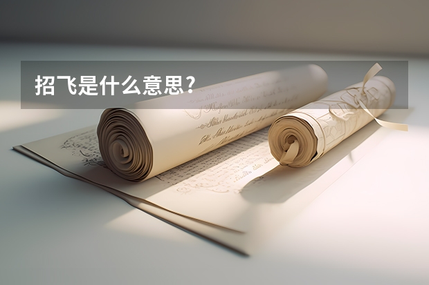 招飞是什么意思?
