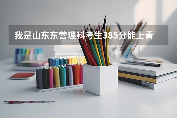 我是山东东营理科考生385分能上青岛理工大学琴岛学院计算机专科吗？