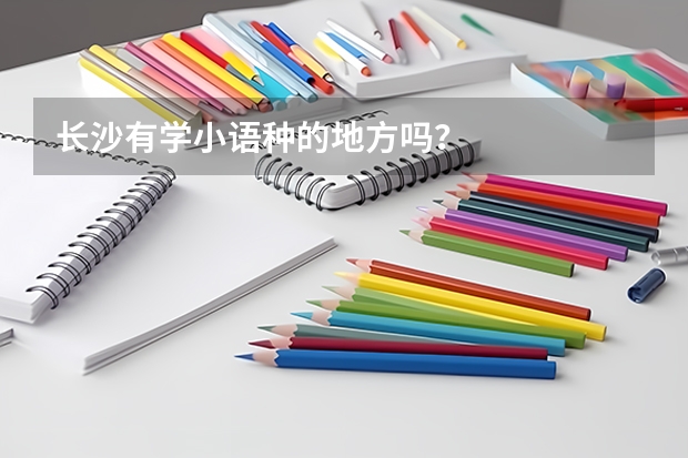 长沙有学小语种的地方吗?
