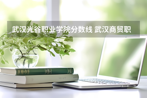 武汉光谷职业学院分数线 武汉商贸职业学院拿的是大专还是本科文凭