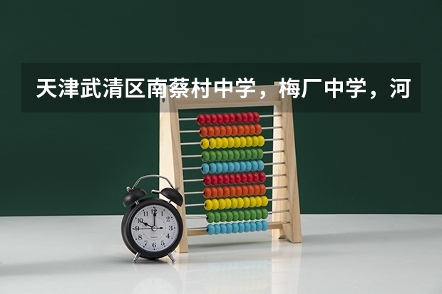 天津武清区南蔡村中学，梅厂中学，河西务中学，英华普通班哪个教学质量更好一些