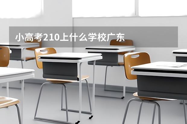 小高考210上什么学校广东