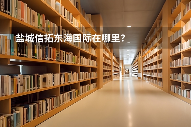 盐城信拓东海国际在哪里?
