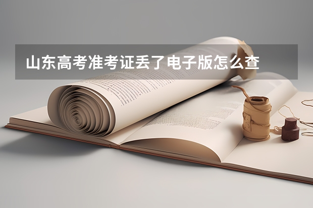 山东高考准考证丢了电子版怎么查