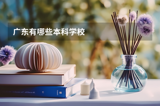 广东有哪些本科学校