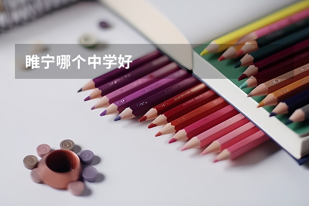 睢宁哪个中学好