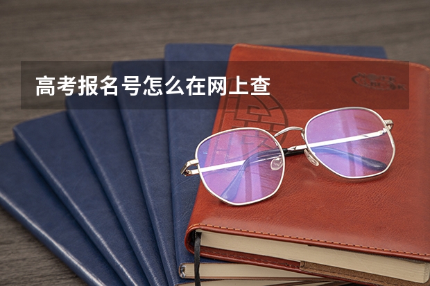 高考报名号怎么在网上查