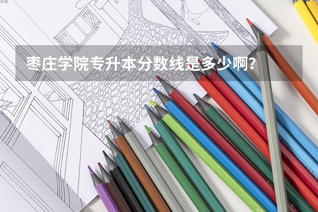 枣庄学院专升本分数线是多少啊？