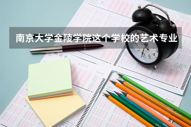 南京大学金陵学院这个学校的艺术专业好吗 急切寻求答案