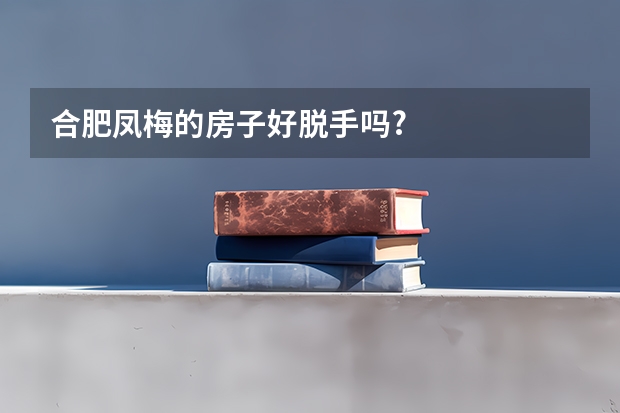 合肥凤梅的房子好脱手吗?