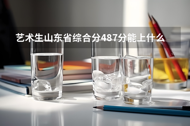 艺术生山东省综合分487分能上什么样的学校？