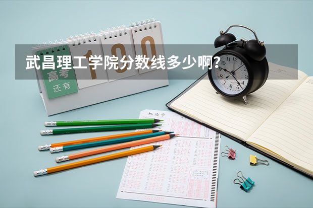 武昌理工学院分数线多少啊？