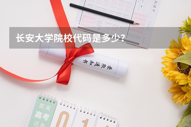 长安大学院校代码是多少？