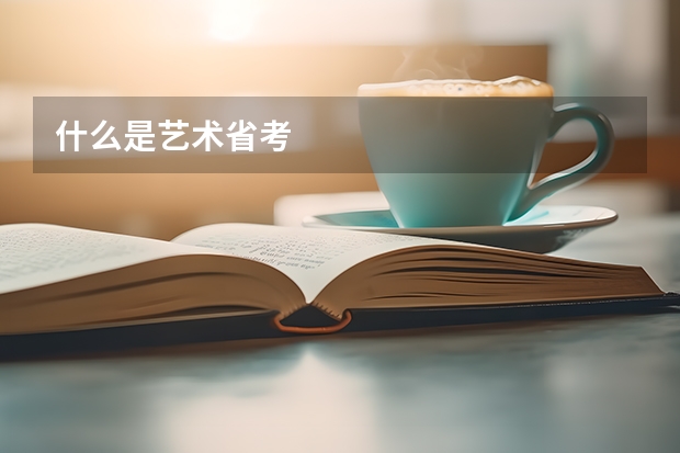 什么是艺术省考