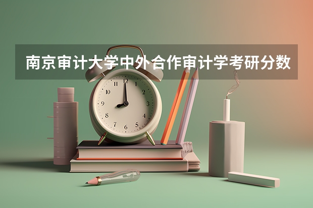 南京审计大学中外合作审计学考研分数线（南京审计大学考研录取分数线）