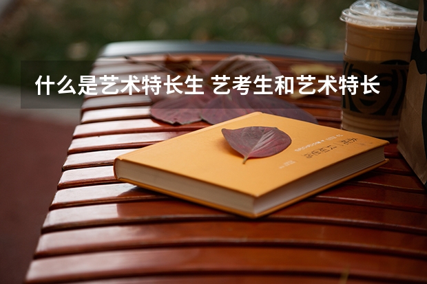 什么是艺术特长生 艺考生和艺术特长生的区别