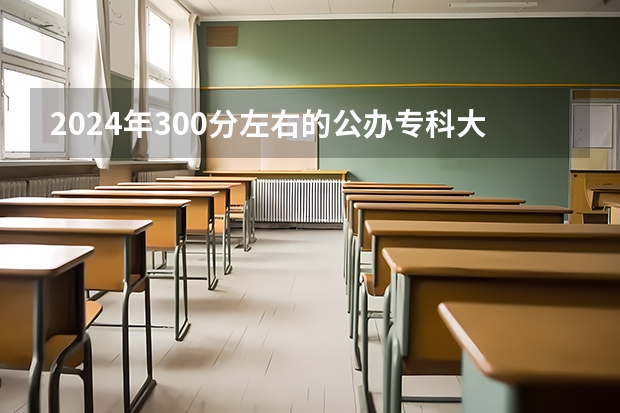 2024年300分左右的公办专科大学有哪些