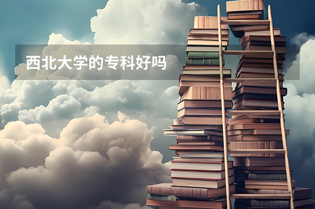 西北大学的专科好吗