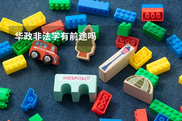 华政非法学有前途吗