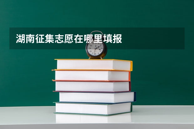 湖南征集志愿在哪里填报