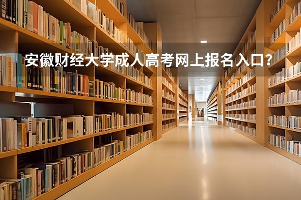 安徽财经大学成人高考网上报名入口?(安徽成人高考报名方法?)