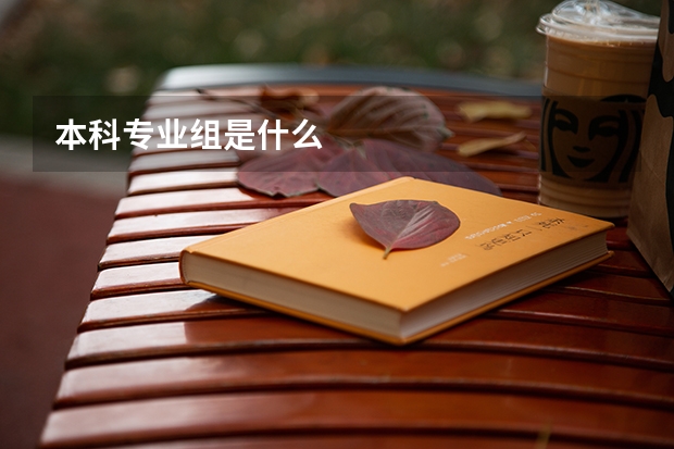 本科专业组是什么